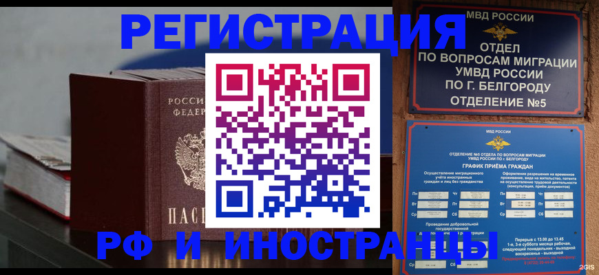 прописка 2025 в Ершове